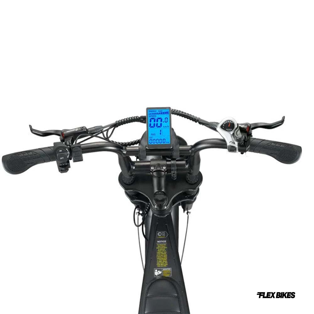 Zomer Deal - FLEX BIKES x OUXI V8.4 + Alarm