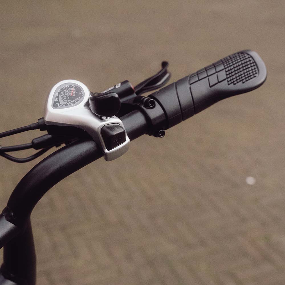 Zomer Deal - FLEX BIKES x OUXI V8.4 + Alarm