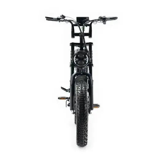 Ouxi C80 Max Elektrische Fatbike Dubbele Batterij 250W Krachtige Motor