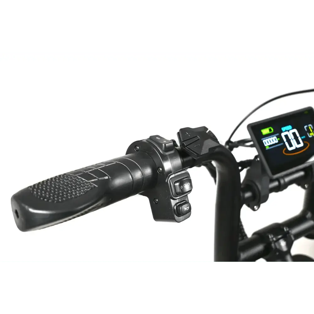 QMWHEEL V20 PRO 10.0 Special Edition Elektrische Fatbike 2025